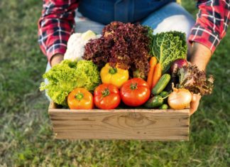 Nachhaltige Ernährung - Mann hält Gemüse in Holzkorb aus deutscher Landwirtschaft