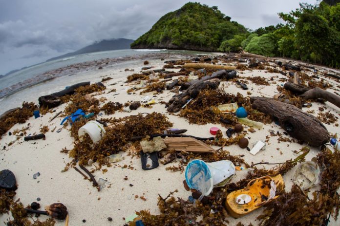Plastik zerstört unseren Planeten